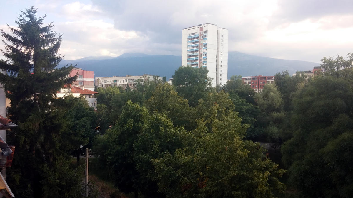 хол с бокс панорама